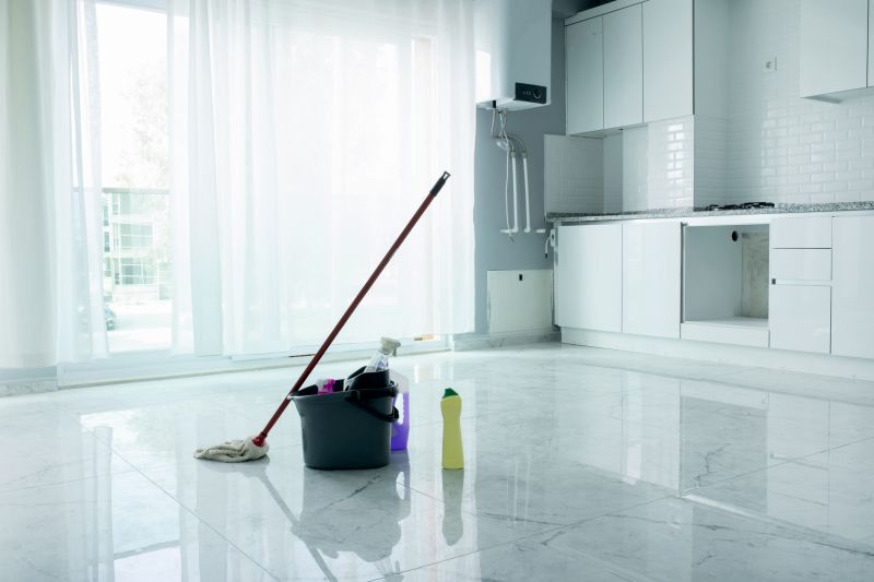 Condo Cleaning in Bellevue, WA